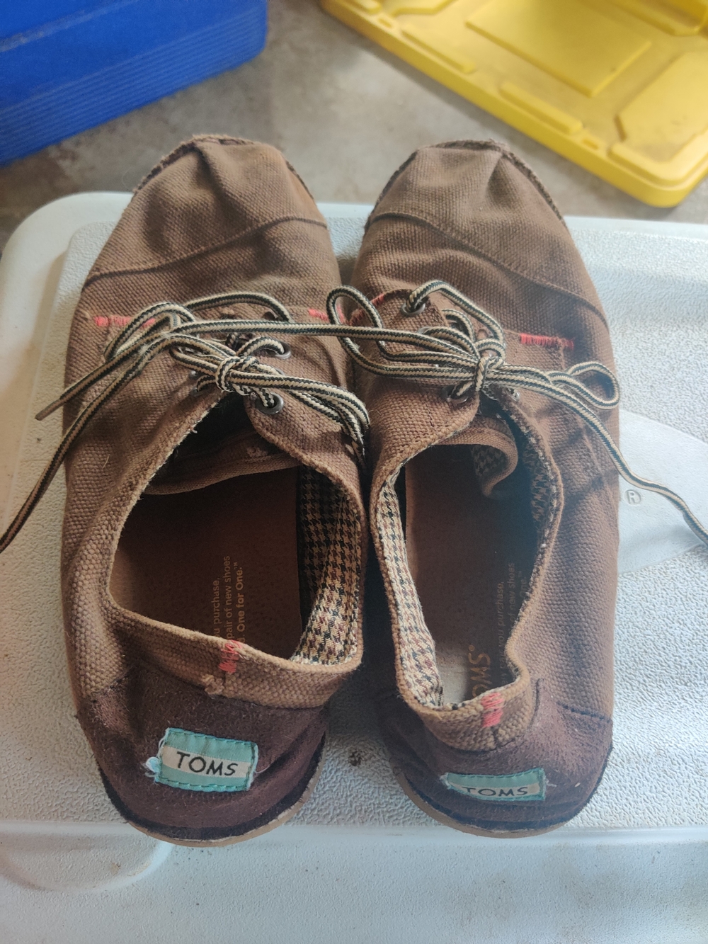 Toms Brown Canvas Slip-On Lace-Up Men’s Shoes